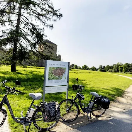 Wohnen Im Alten Amtsgericht Im Herzen Von